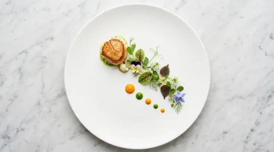 Composizione elegante di un piatto gourmet con disposizione asimmetrica secondo la regola dei terzi, spazi vuoti bilanciati e altezze variegate