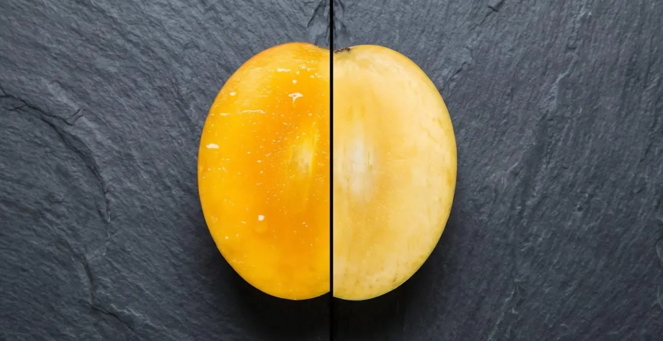 Confronto visivo tra mango maturato sulla pianta e mango trasportato via nave